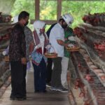 contoh usaha bumdes