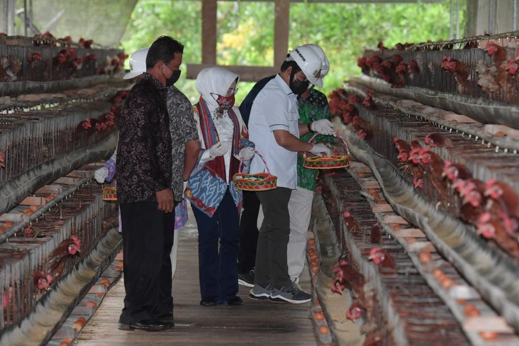 contoh usaha bumdes